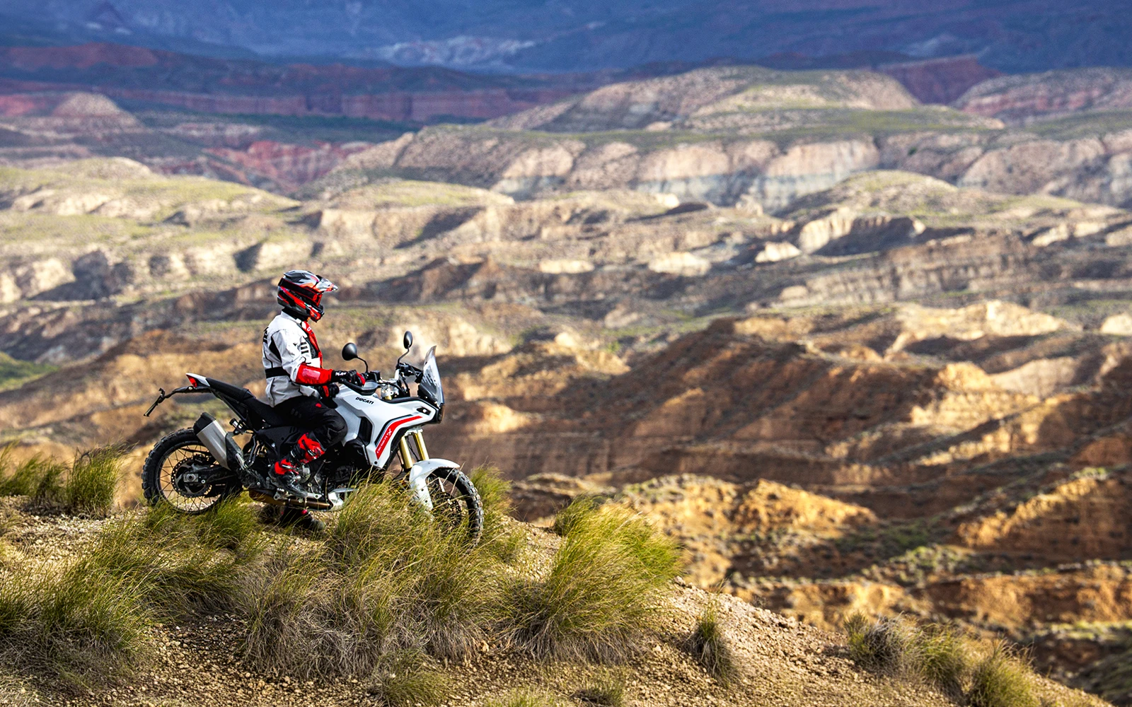 ドゥカティ東京大田 | 株式会社キズキ :::